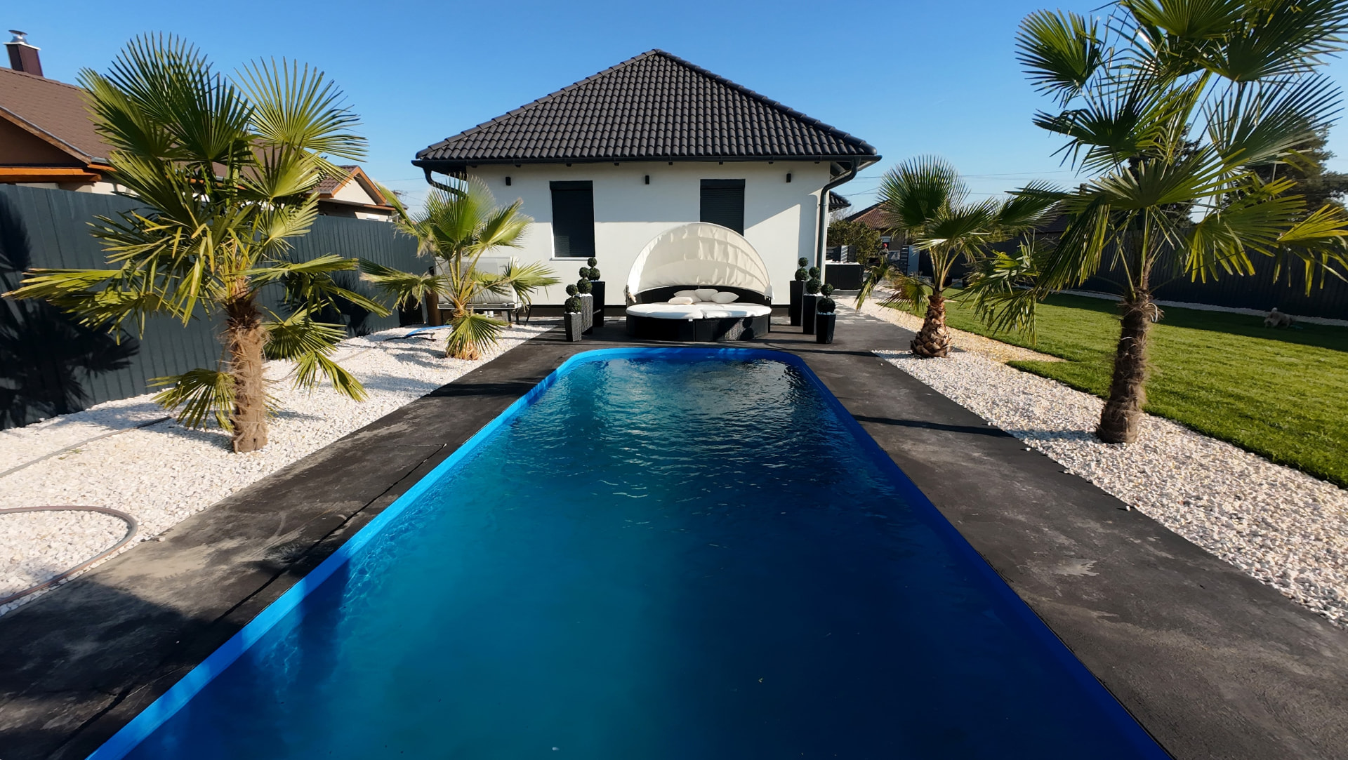 The house's garden with a swimming pool and palm trees
